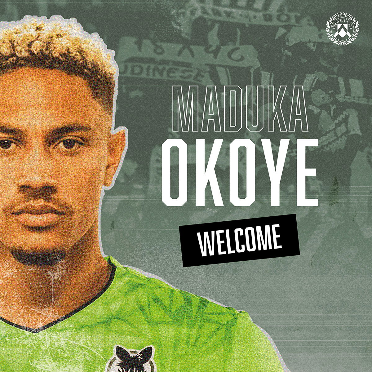 L’indiscrezione: portiere Inter, Okoye non interessa. Gli scenari article-post