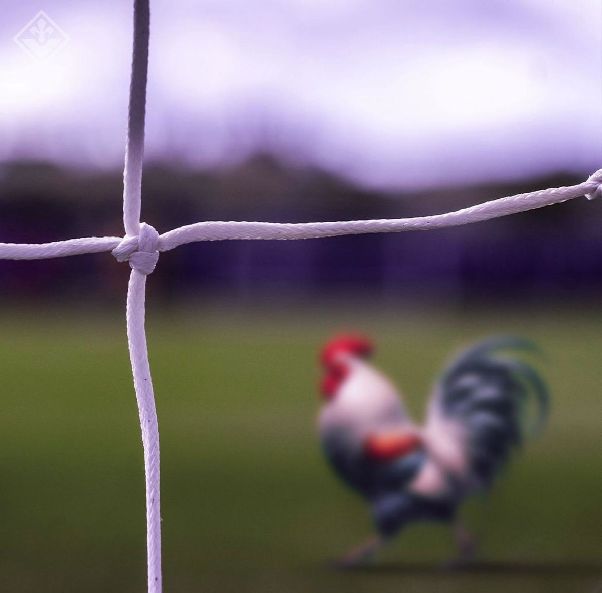 Belotti sta arrivando, ora c’è pure l’indizio social della Fiorentina article-post