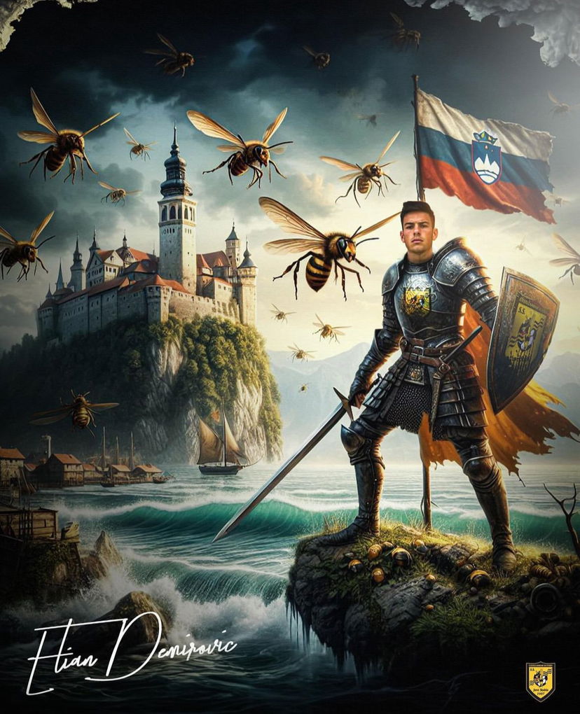 Ufficiale: Juve Stabia, arriva anche Demirovic preview