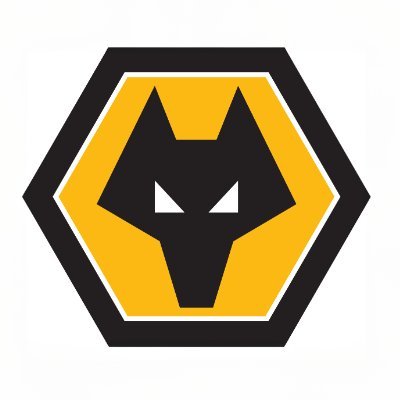 Ufficiale: il Wolverhampton esonera O’Neil. Il comunicato article-post