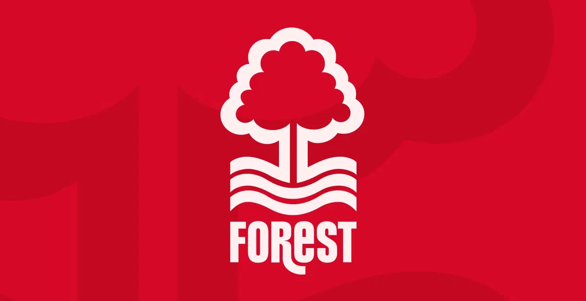 Ufficiale: il Nottingham Forest piazza il colpo Igor Jesus article-post