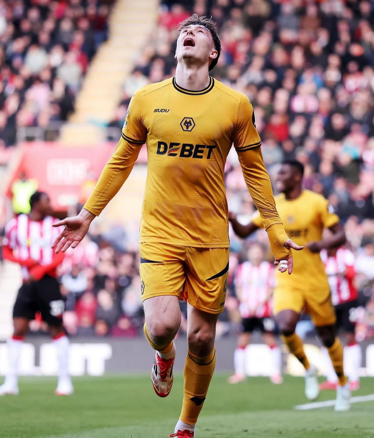 Il Wolverhampton tiene botta: rifiutata l’offerta del Newcastle per Larsen article-post