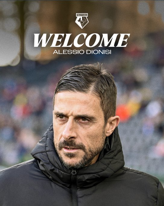 Ufficiale: Alessio Dionisi nuovo allenatore del Watford article-post