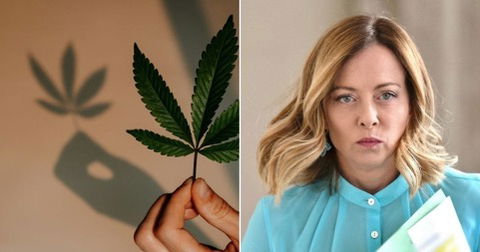 Il tar del Lazio sospende il decreto del governo sulla cannabis light preview