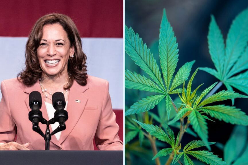 La storica promessa di Kamala Harris: “se eletta Presidente lo farò” article-post