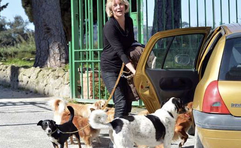 Flavia Vento al Grande Fratello Vip con i suoi 7 cani: l’indiscrezione preview