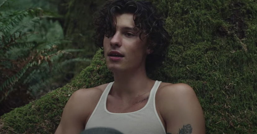 Shawn Mendes è tornato con un nuovo singolo che profuma già di hit, ecco ‘Wonder’ preview