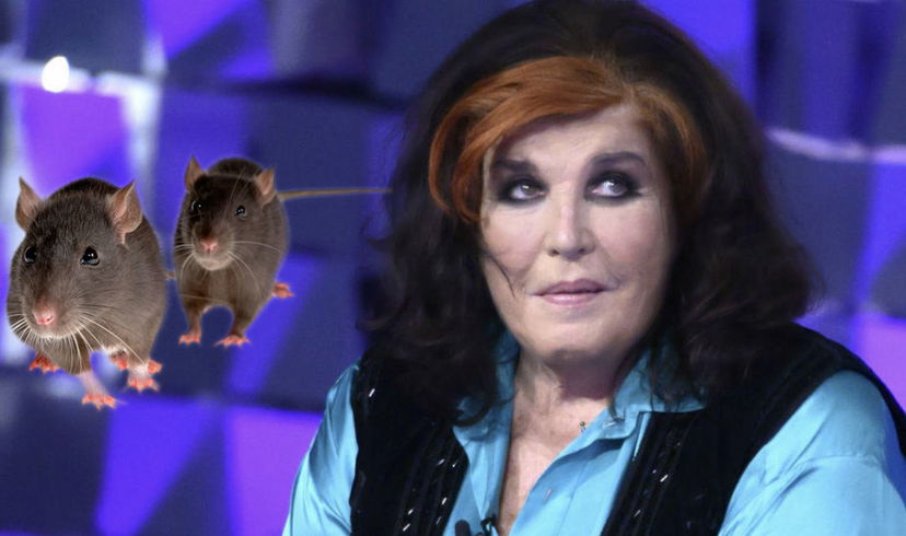 Patrizia De Blanck: “Nella mia camera al GF Vip c’erano i topi” preview