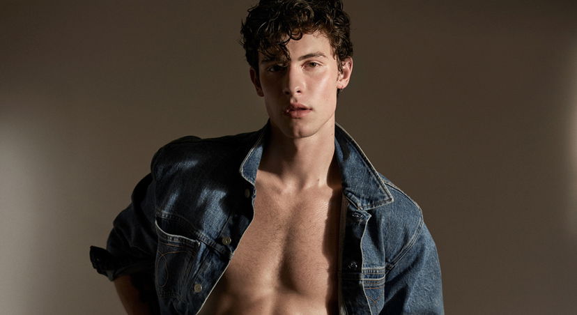 Shawn Mendes gay? Il cantante parla della sua presunta omosessualità e fa una riflessione preview