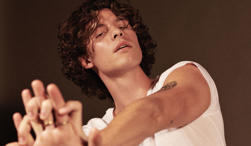 Shawn Mendes vittima di bulli omofobi già da piccolo: “Deriso per la mia voce e gli atteggiamenti femminili” preview