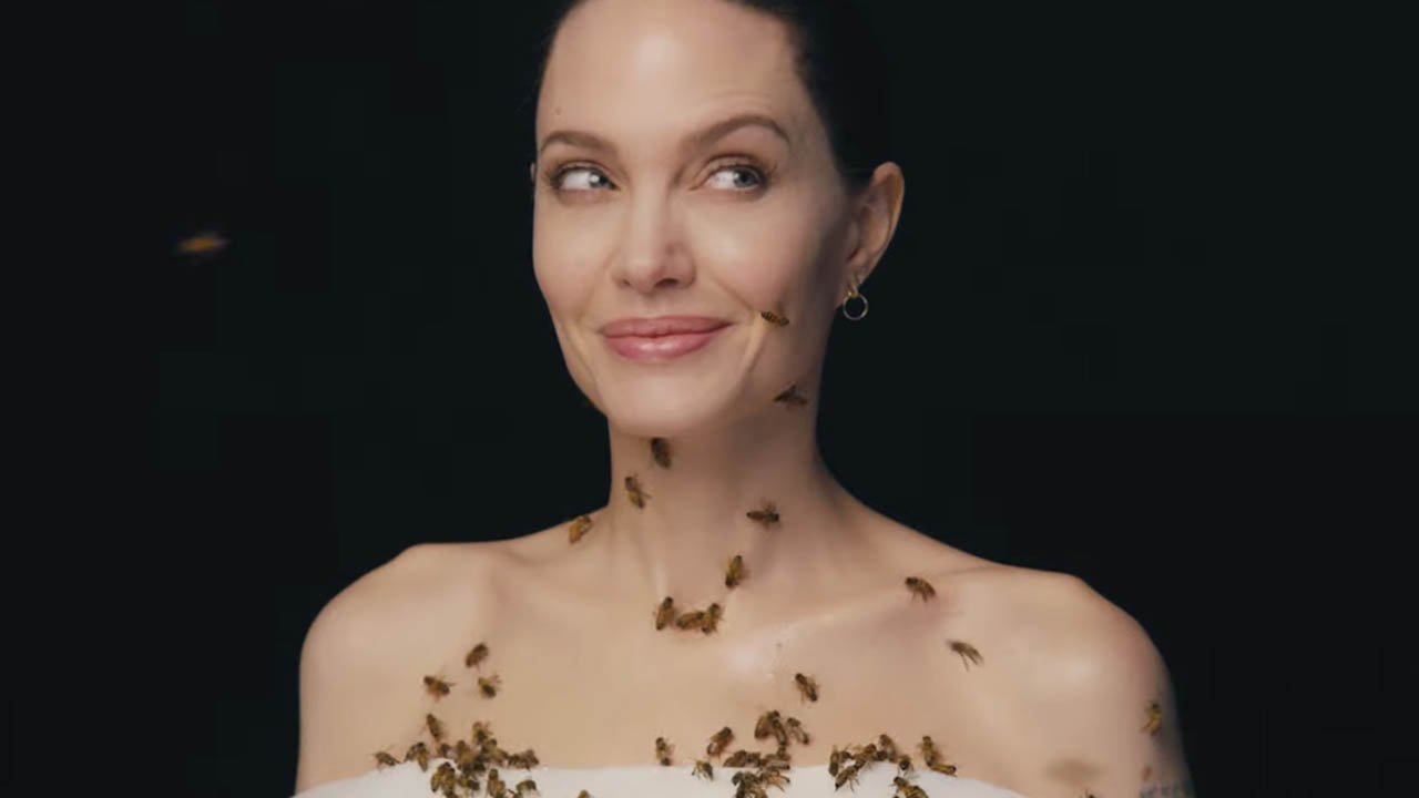 Angelina Jolie