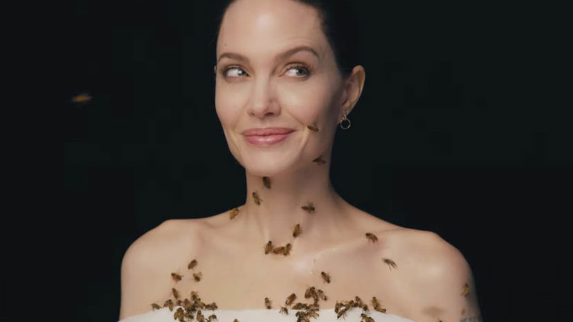 Angelina Jolie ricoperta da vere api svela come ha realizzato il servizio fotografico preview