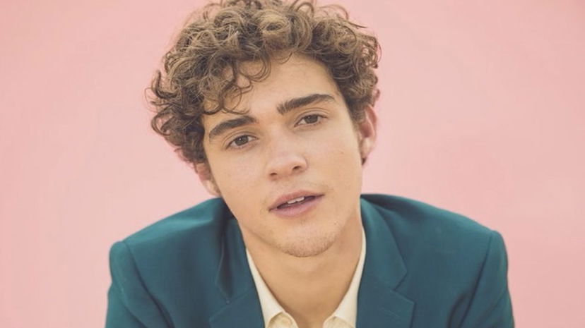 Joshua Bassett fa coming out e ammette di avere una cotta per Harry Styles preview