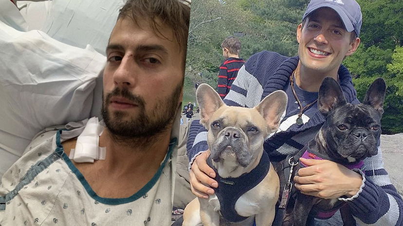 Lady Gaga, il suo dog sitter è disperato: “Ho bisogno di soldi. Mi sono sentito abbandonato, sono senza una casa e un’auto” preview