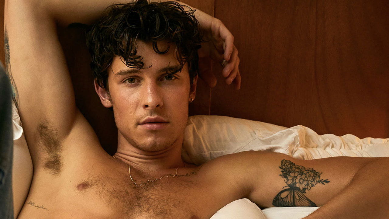 Il segreto di Shawn Mendes