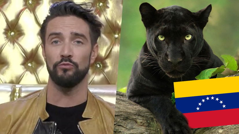 Alex Belli furioso con la moglie Delia: “Scene orribili, sono arrabbiato con lei” preview