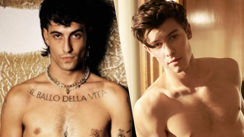 Damiano David, Shawn Mendes lo segue su Instagram: la reazione del cantante dei Maneskin preview