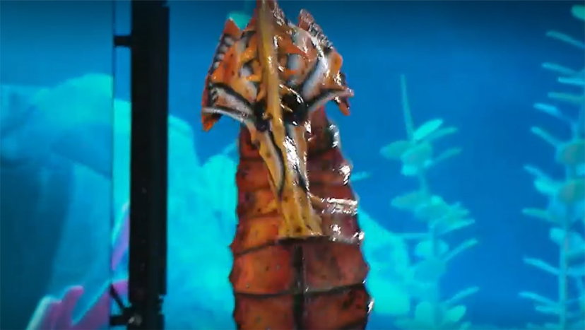 Cavalluccio Marino eliminato a Il Cantante Mascherato: ecco chi c’era sotto la maschera preview