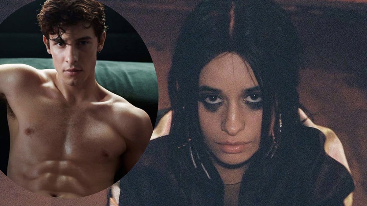Camila Cabello ft Ed Sheeran: Bam Bam (il singolo su Shawn Mendes) è una bomba pop article-post