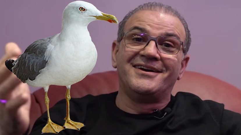 Povero Gabbiano, Gianni Celeste racconta com’è nata la sua canzone e com’è diventata virale preview