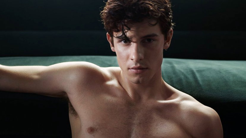 Shawn Mendes fa coming out e si dichiara gay: “Mi sono liberato, ma non ho mai preso in giro nessuno” preview
