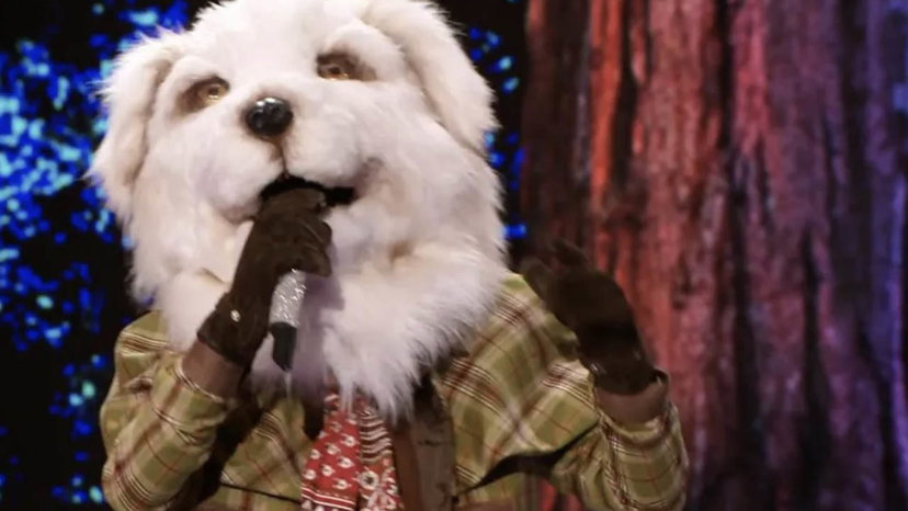 Pastore Maremmano eliminato a Il Cantante Mascherato: ecco chi c’era sotto la maschera preview