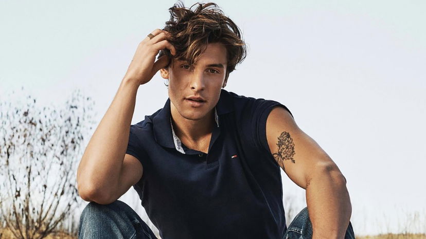 Shawn Mendes annulla tutto il tour e fa una confessione preview