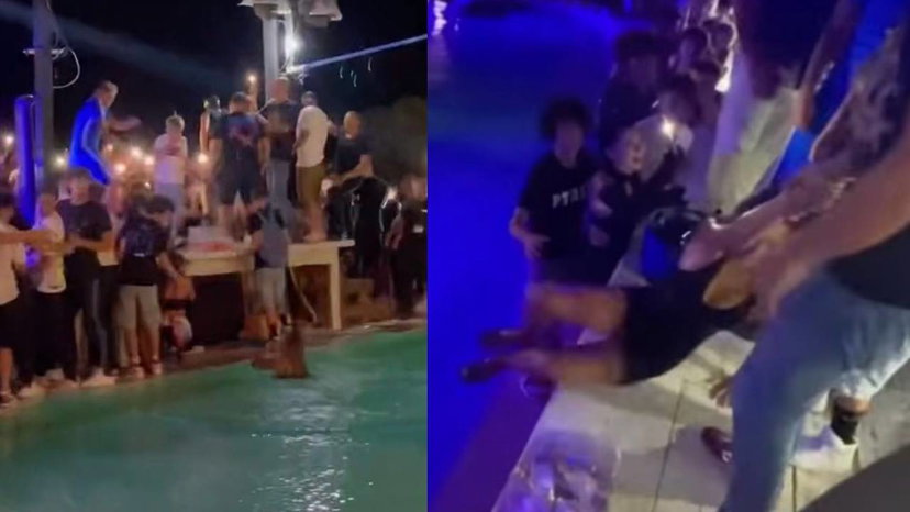 Rhove spinge una fan in piscina e poi chiarisce perché preview