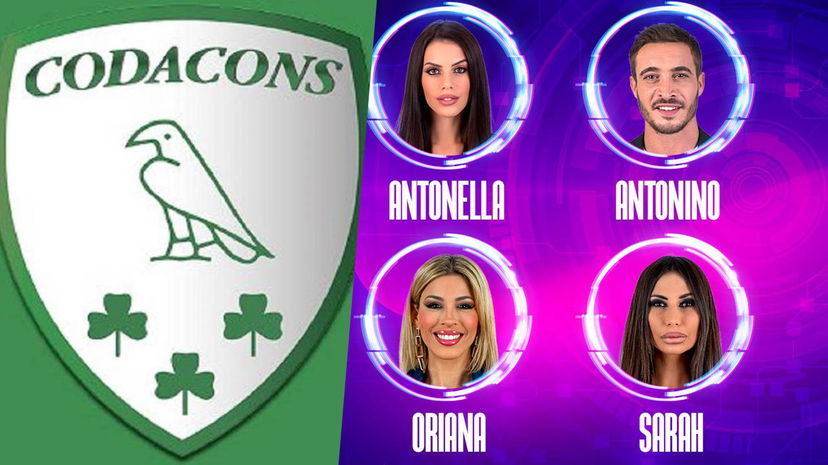 Codacons interviene sul televoto del GF Vip vinto dalla Fiordelisi: “Serve verifica” preview