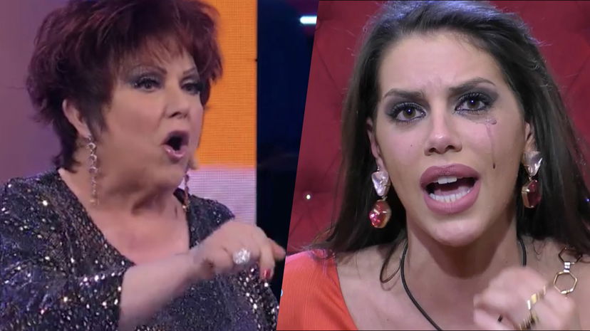 Berti smonta Antonella Fiordelisi: “Arrogante, fai le sceneggiate, lacrime finte” preview