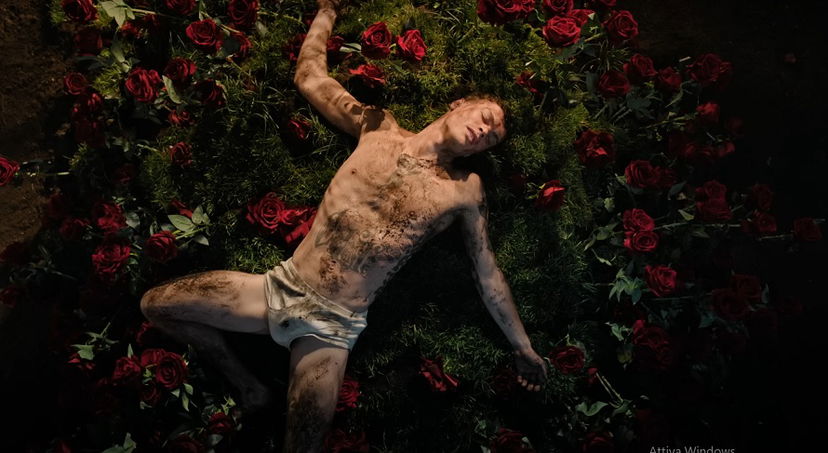 Quanto è costata la composizione floreale distrutta da Blanco? Parla la fioraia e svela alcuni retroscena preview