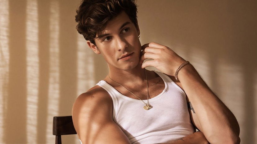 Shawn Mendes si è fidanzato: paparazzato con un volto noto dello spettacolo preview