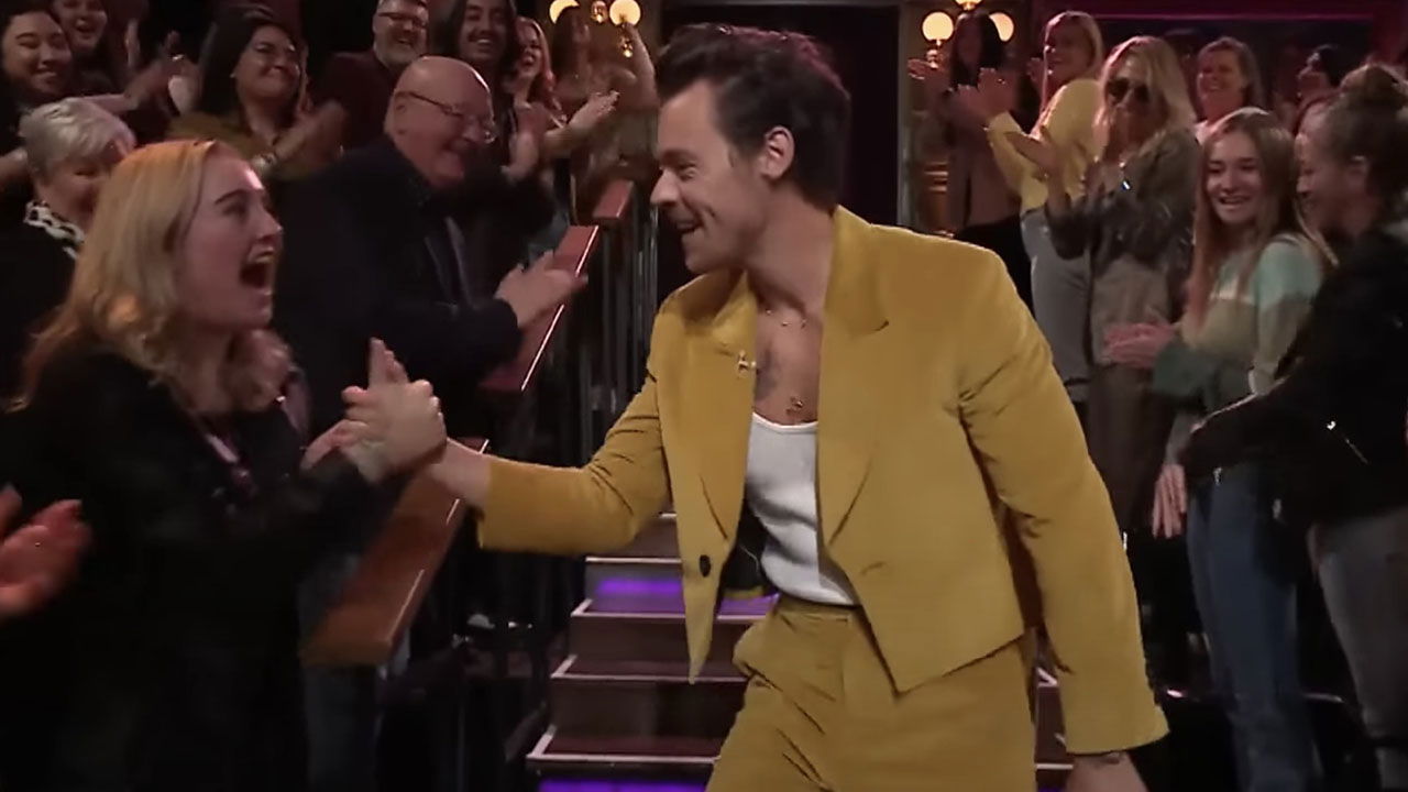 Harry Styles la sua fan