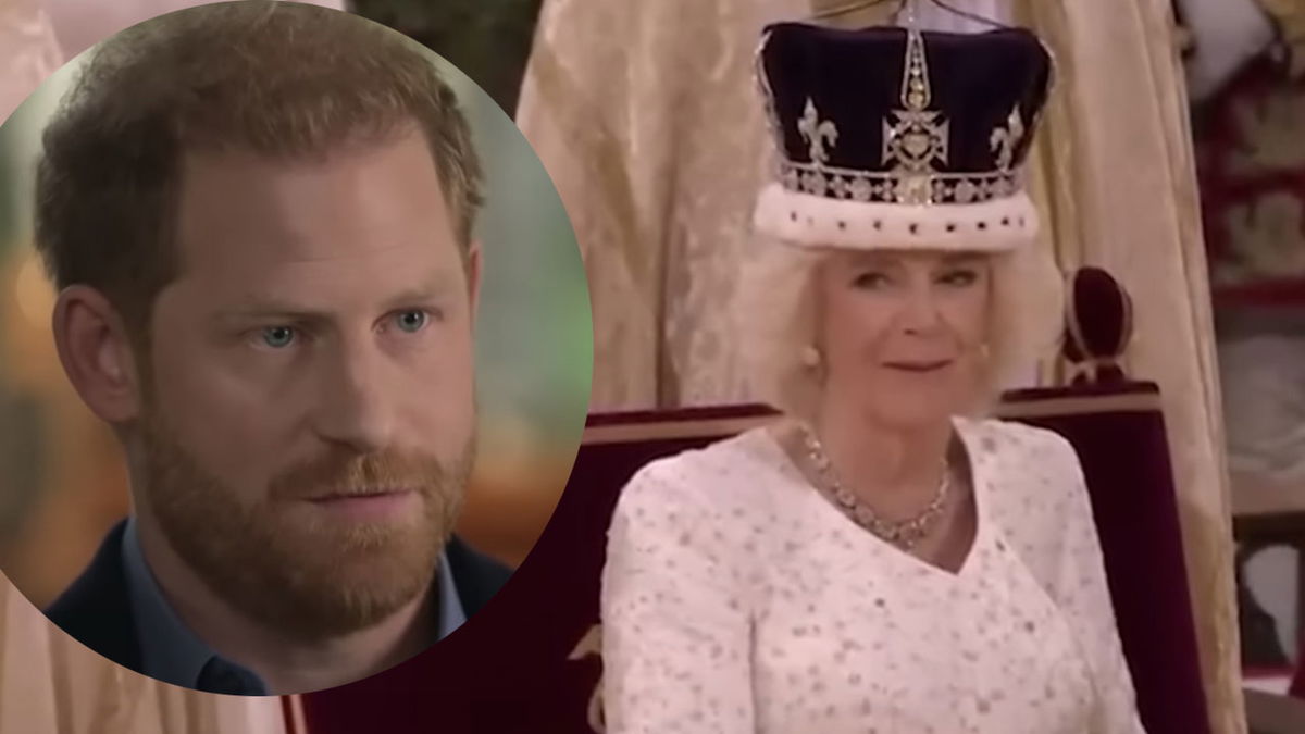 Regina Camilla, duro attacco di Harry: “Puntava alla corona, è una donna perfida” article-post