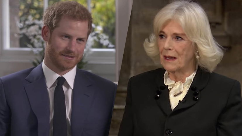 Regina Camilla, la sua reazione ai nuovi attacchi di Harry: “Cattiva? No, ferita” preview