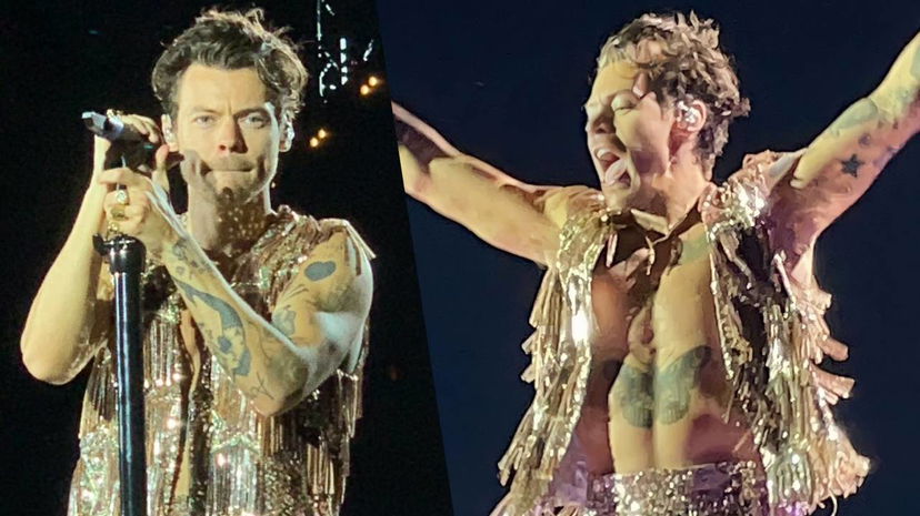 Harry Styles parla un ottimo italiano a Campovolo e usa il congiuntivo preview