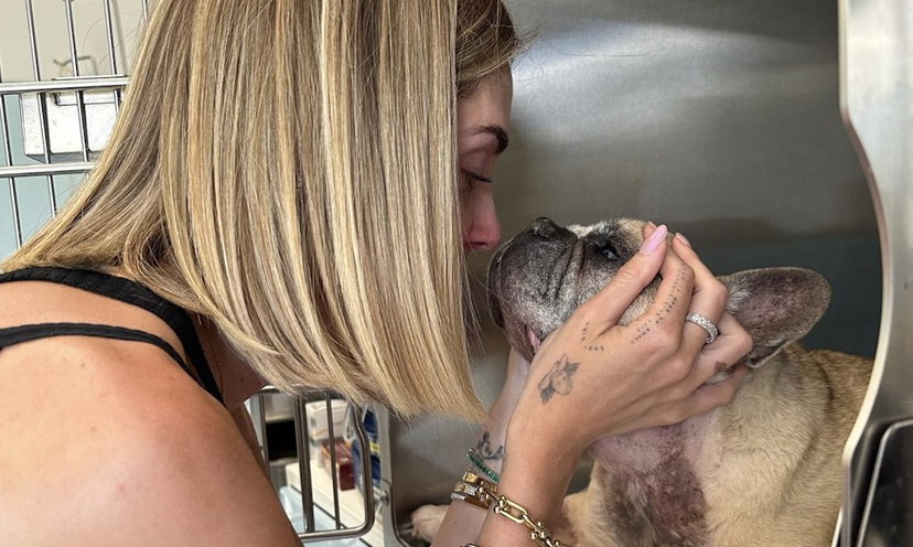 È morta Matilda la bulldog francese di Chiara Ferragni: “Resterai la mia prima bimba” preview