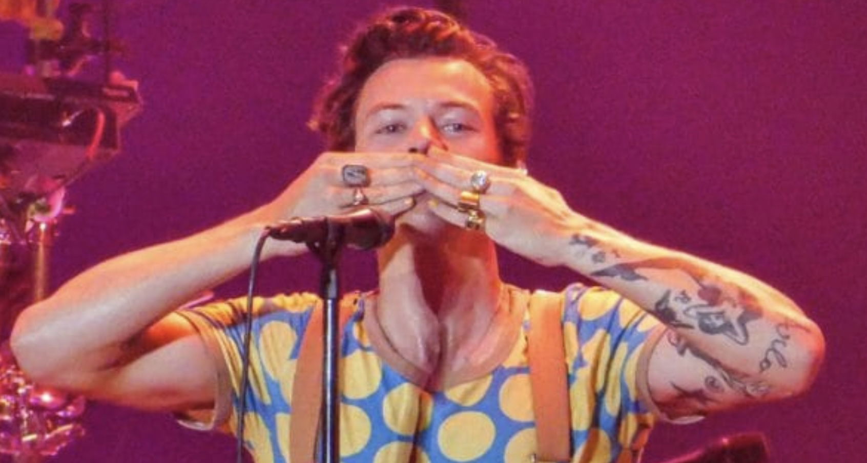 harry styles campovolo