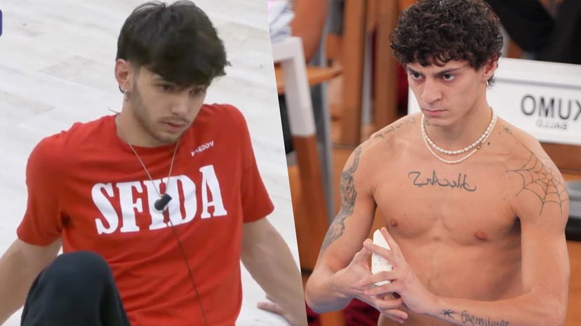 Destino di Nicholas e Kumo ad Amici: “Ha lasciato lo studio” – anticipazioni preview