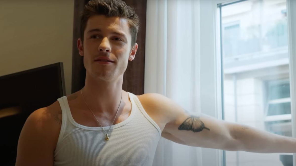 Shawn Mendes si è fidanzato con un personaggio famoso dei reality: “Adesso convivono” article-post