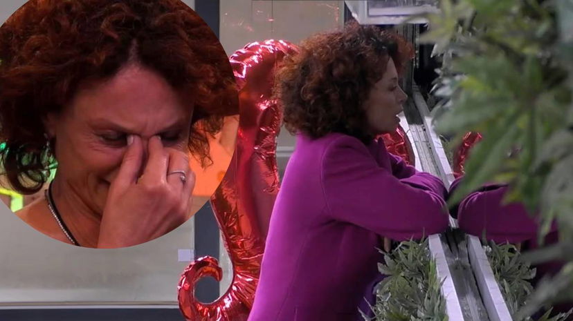 Il branco non molla Beatrice: nella notte le fanno victim blaming preview