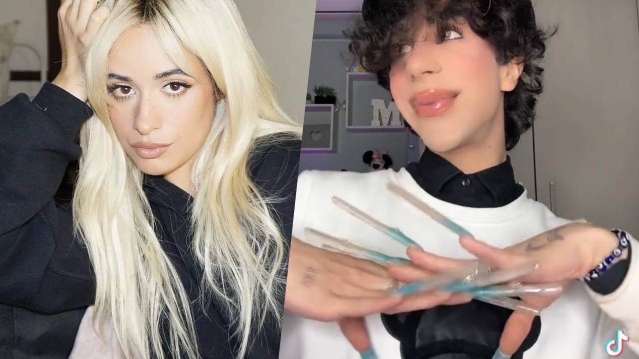 Camila Cabello segue Mauro Rossiello su TikTok: 