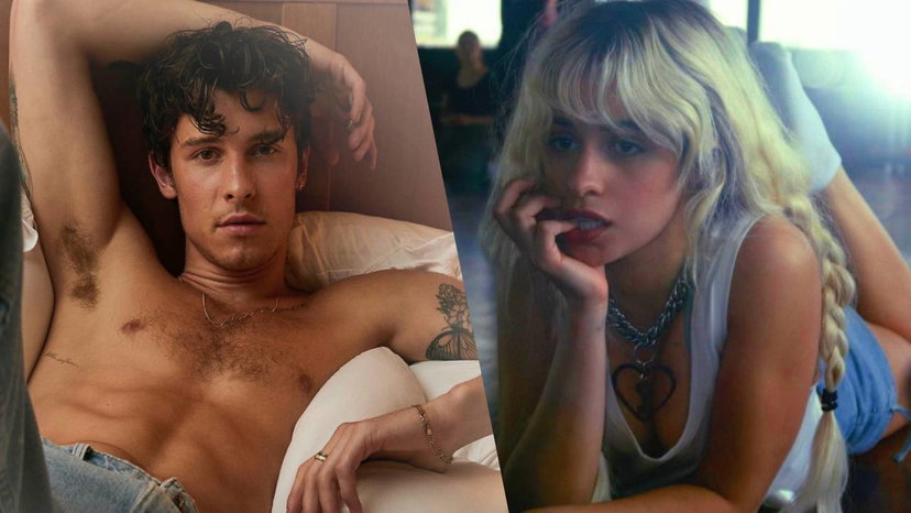 Camila Cabello svela il vero motivo per cui è finita con Shawn Mendes: “Perché non torneremo più insieme” preview