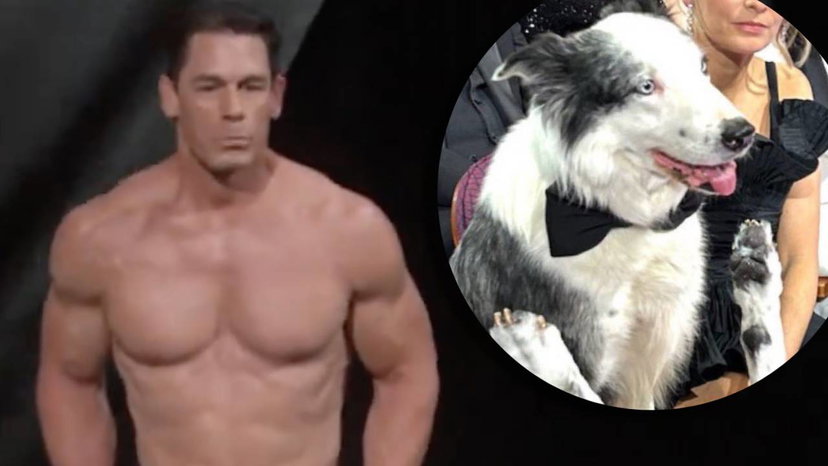 I trucchetti degli Oscar 2024: da John Cena al cane che applaude in platea preview