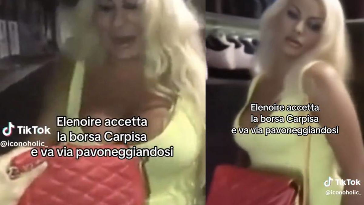 Come sarebbe finita se Elenoire Ferruzzi avesse accettato come regalo la borsa Carpisa: il video dell’intelligenza artificiale article-post