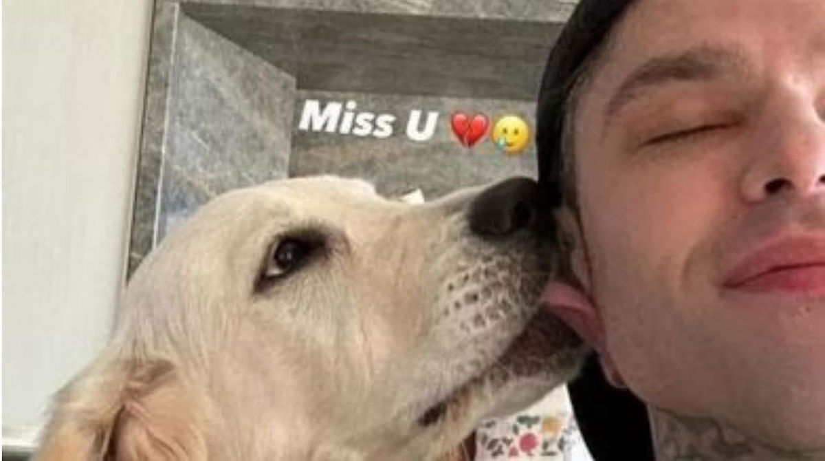 Fedez risponde alla polemica su Paloma: “Mi girano e rosico, ecco perché” article-post
