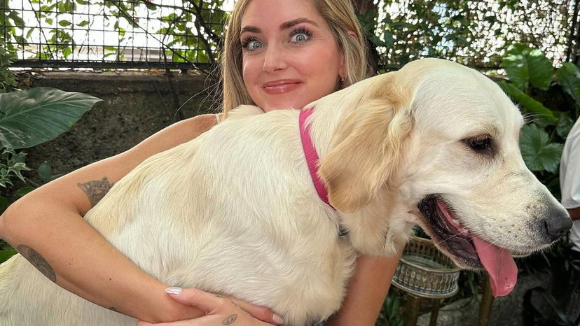Critiche a Chiara Ferragni per l’esposizione di Paloma sui social, la sua risposta preview