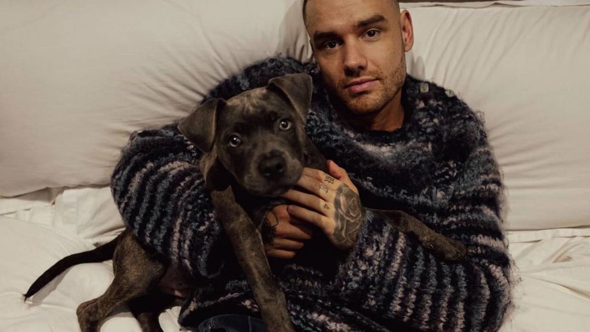 Liam Payne: dal video che smentirebbe la teoria del suicidio al singolo postumo article-post