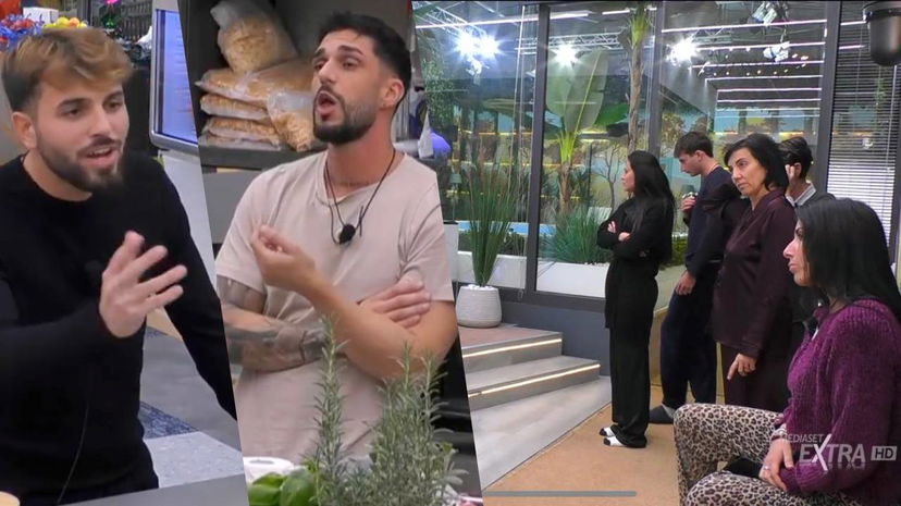 Stefano e Alfonso litigano, gieffini spiazzati e la regia corre ai ripari preview