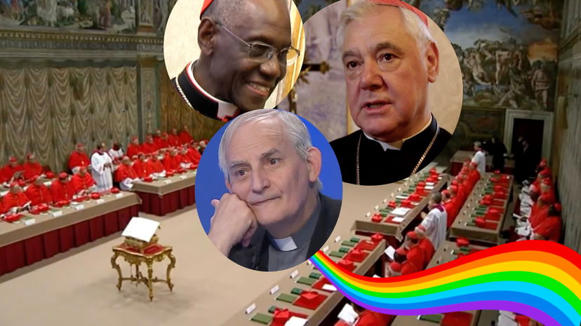 Cardinali papabili: i più progressisti e quelli ostili ai diritti LGBT preview